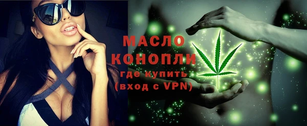 амф Пестово