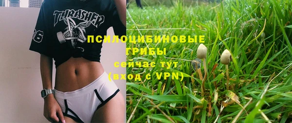 экстази Пересвет