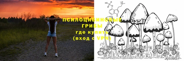 амф Пестово