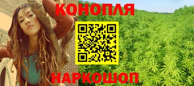 прущие грибы Апшеронск