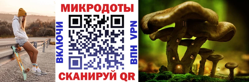 дарнет шоп  Великий Устюг  Галлюциногенные грибы Magic Shrooms 