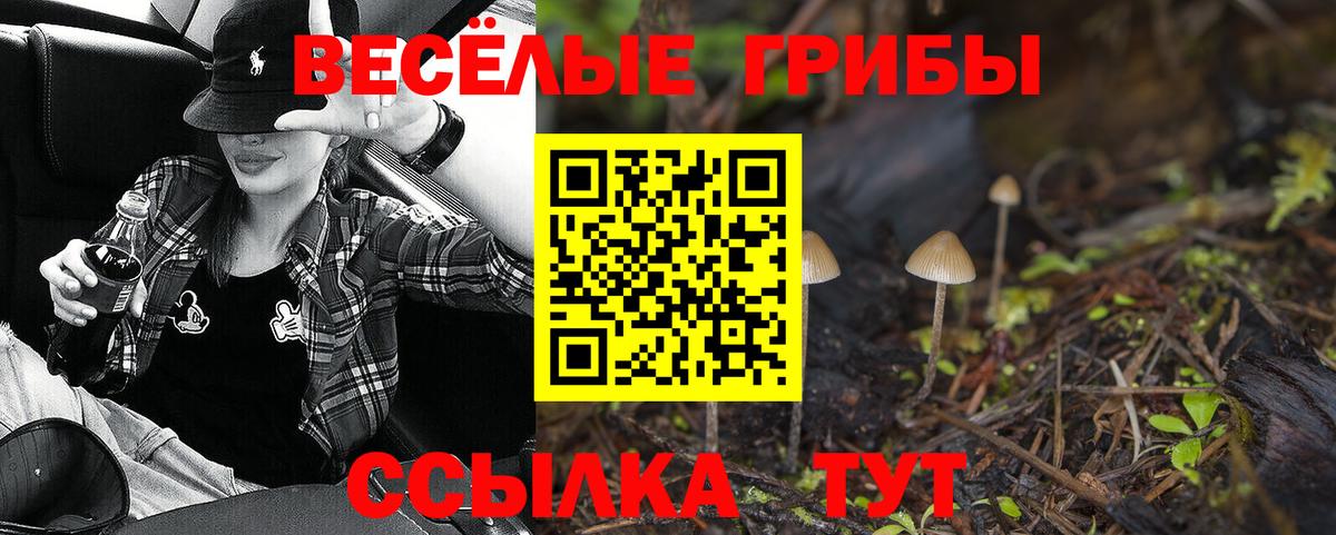 Псилоцибиновые грибы прущие грибы Великий Устюг