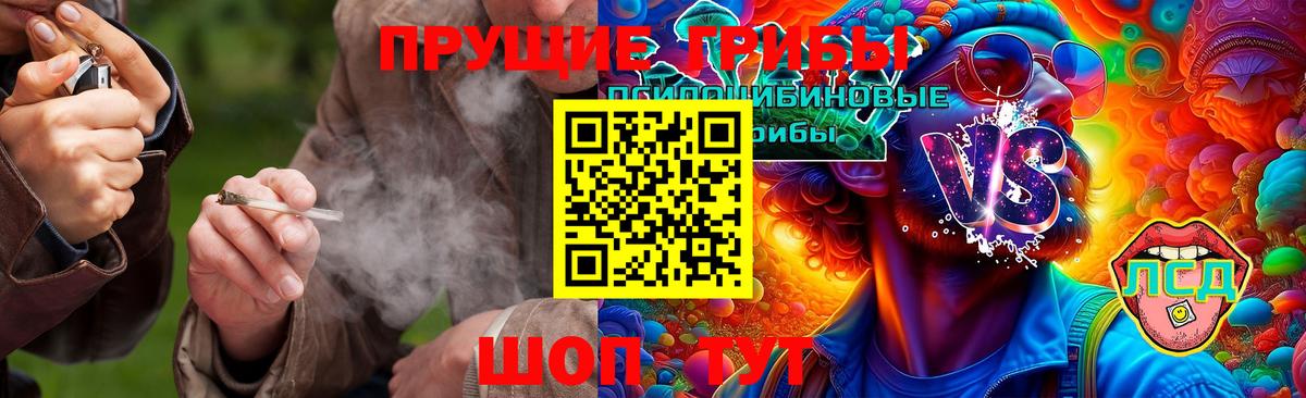Галлюциногенные грибы GOLDEN TEACHER Великий Устюг