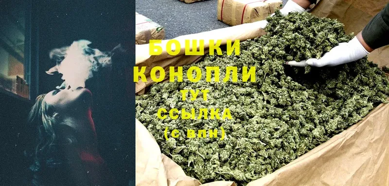 сколько стоит  Великий Устюг  Шишки марихуана OG Kush 